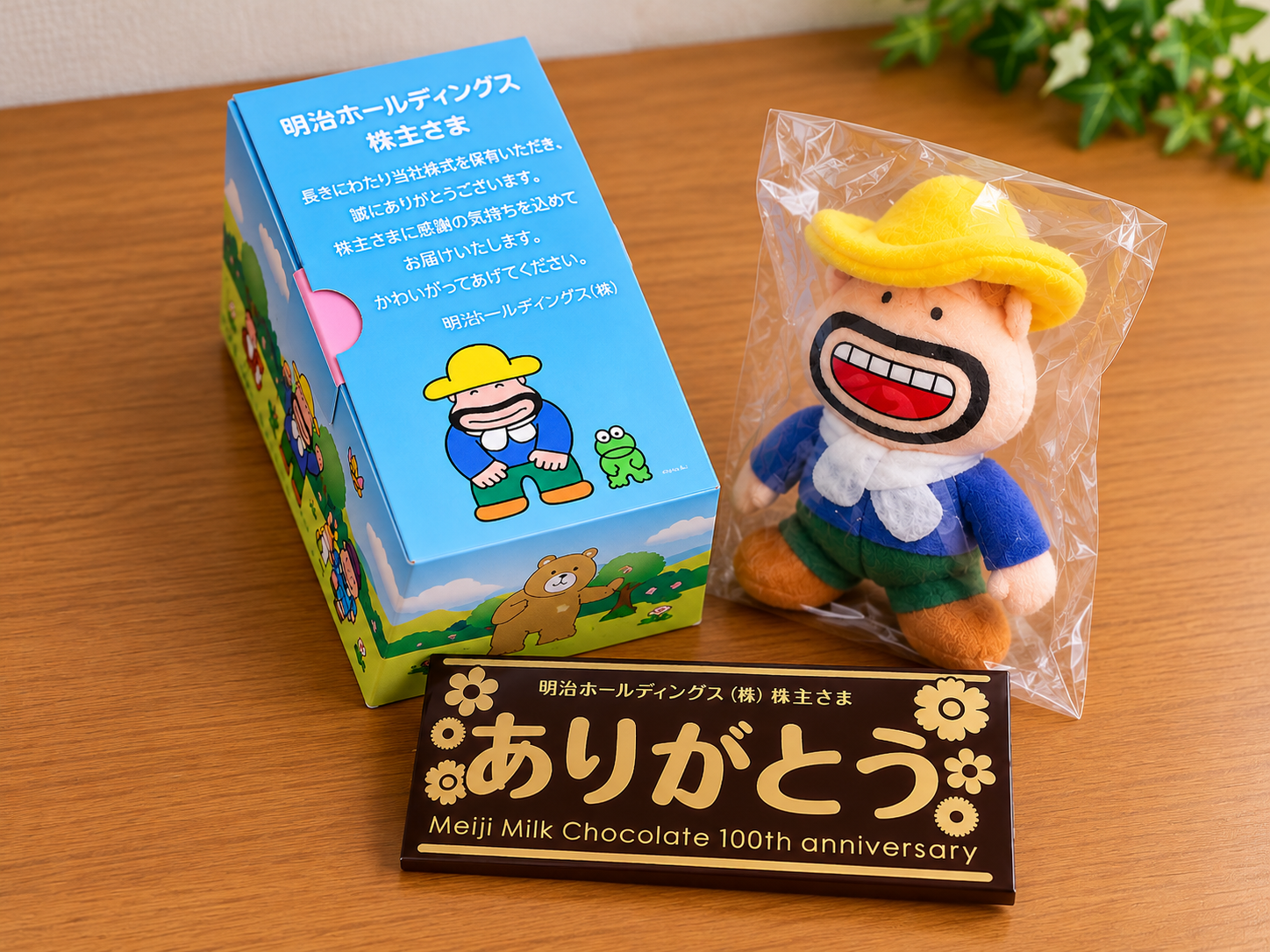 明治ホールディングス長期保有感謝BOXと記念品